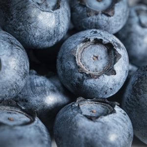 Organic Blueberries (Wensleydale Farms)