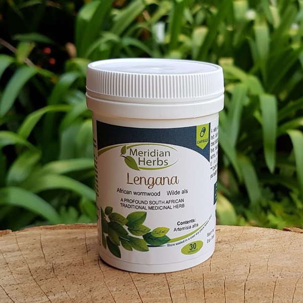 Artemisia (Lengana) capsules (Meridian Herbs)