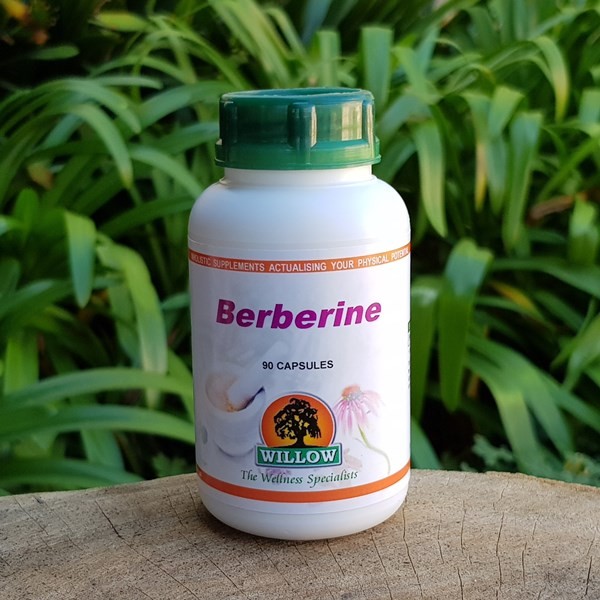 Berberine (Willow)