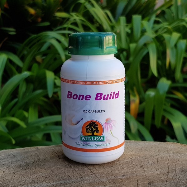 Bone Build (Willow)