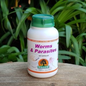 Worms & Parasites (Willow)
