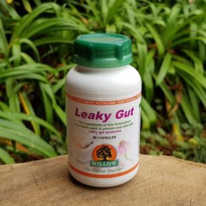 Leaky Gut (Willow)