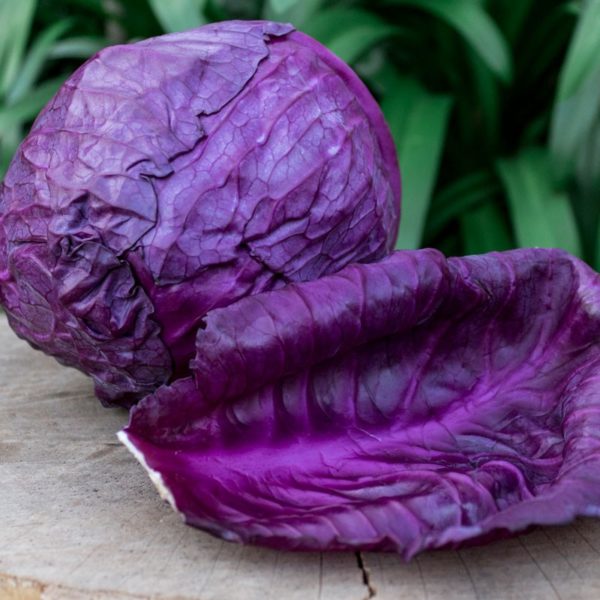 Organic Red Cabbage (Urban Fresh)