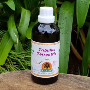 Tribulus Terrestris Tincture, 100ml (Willow)