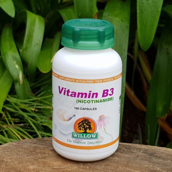 Vitamin B3 (Nicotinamide), 100 capsules (Willow)