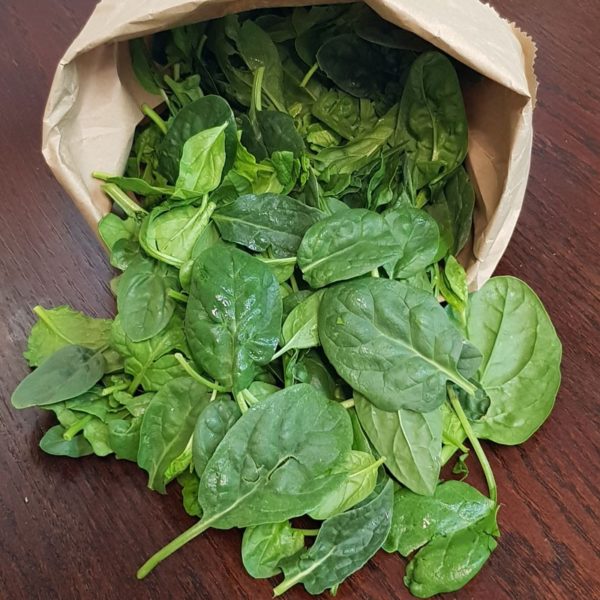 Baby Spinach, bag (Urban Fresh)