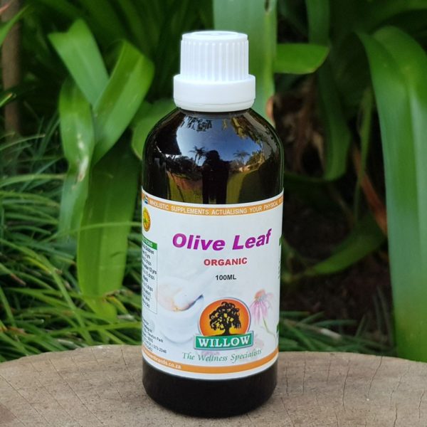 Organic Olive Leaf Tincture, 100ml (Willow)