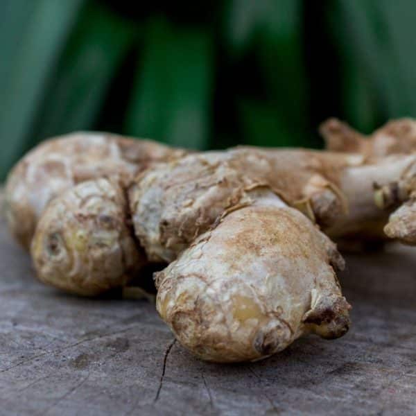 what is ginger root used for