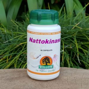 Nattokinase, 60 capsules (Willow)