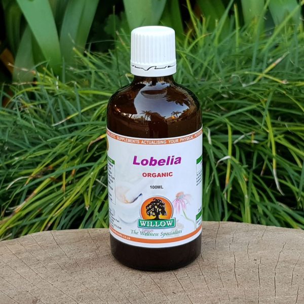 Organic Lobelia, 100ml (Willow)