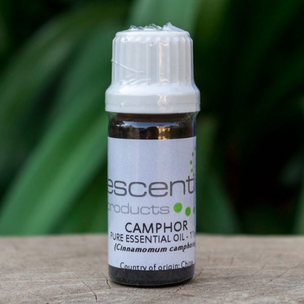 Camphor Essential Oil, 11ml (Escentia)