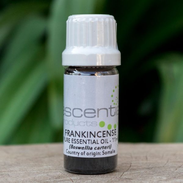 Frankincense Essential Oil, 11ml (Escentia)