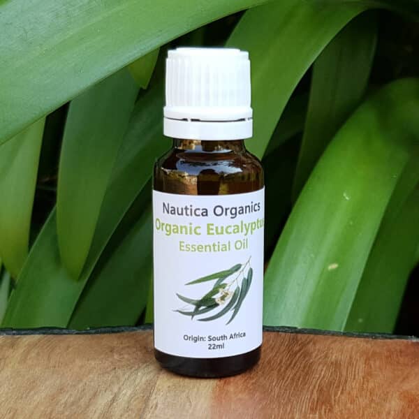 Organic Eucalyptus Essential Oil, 22ml