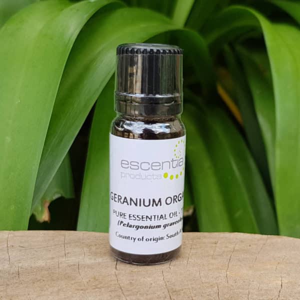 Organic Geranium essential Oil