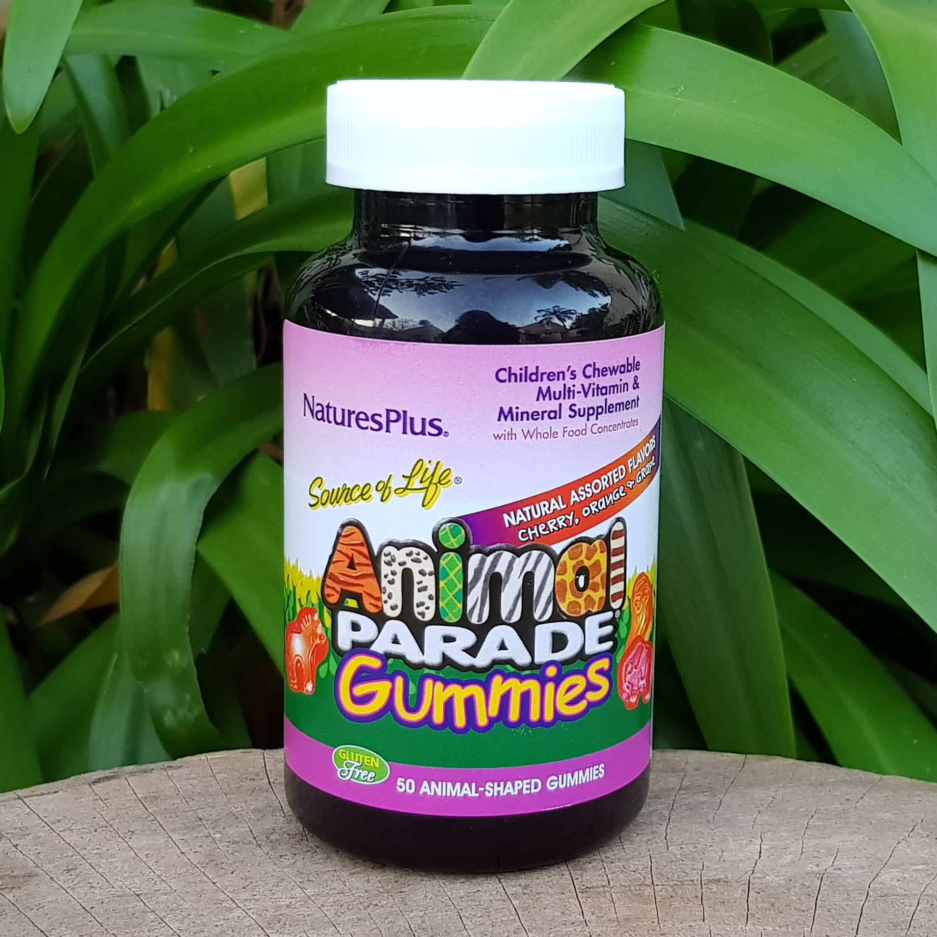Animal Parade® Gummies, Assorted, 60s (Natures Plus) | Organic Choice