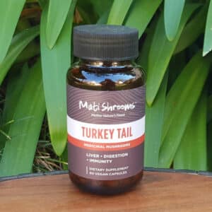 Turkey Tail, 60 capsules