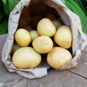 Organic Baby Potatoes, 1kg