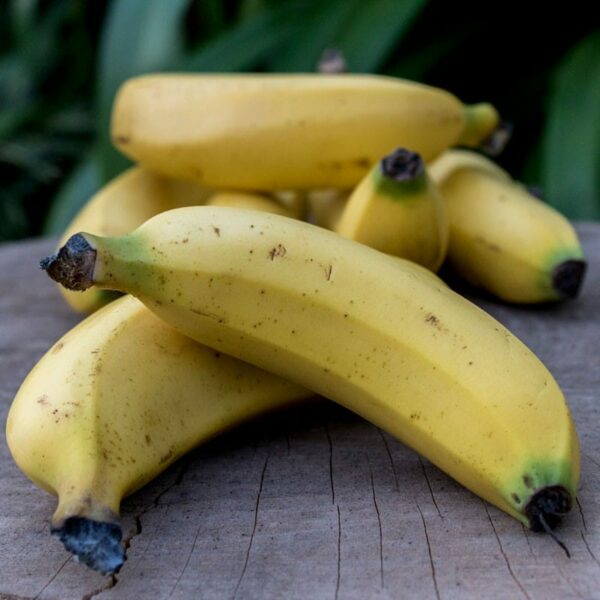 Organic Bananas, 1kg
