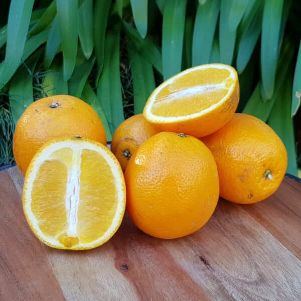 Organic Oranges, 1kg