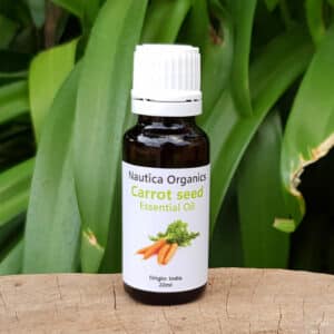 Carrot Seed Essential Oil, 22ml