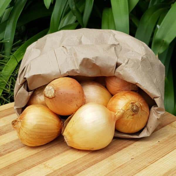 Organic Brown Onion, 1kg