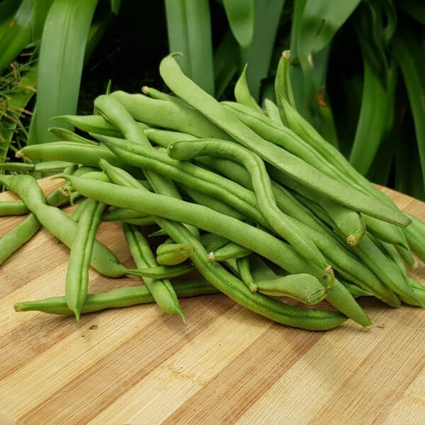 Organic Green Beans, 350g