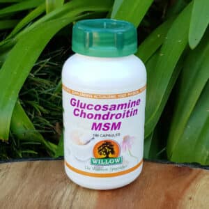 Glucosamine Chondroitin MSM, 100 capsules