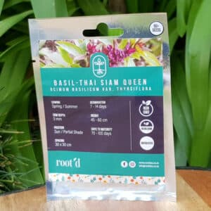 Root's Microgreen Thai Siam Queen Basil Seeds