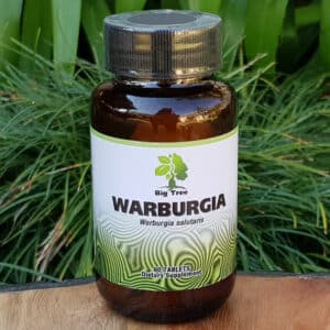 Big Tree Nutraceutical Warburgia, 60 tablets