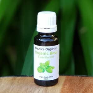 Organic Basil Essential Oil, 22ml