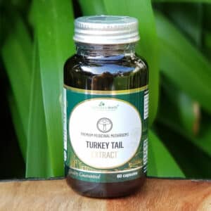 Turkey Tail Extract, 60 capsules