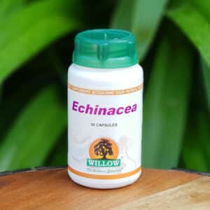 Echinacea, 50 capsules